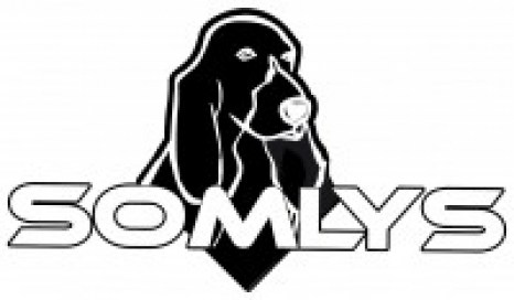 logo somlys1